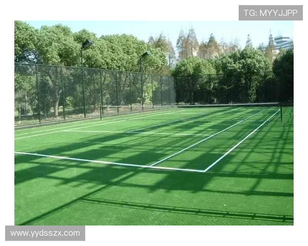 从草地到红土再到硬地全面解析网球场地变化对比赛策略的深远影响