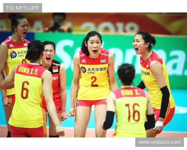 成都排球队实力强劲荣登全国排球实力排行榜第三名