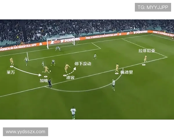 杭州篮球队技术对比深度解析与战术优势剖析