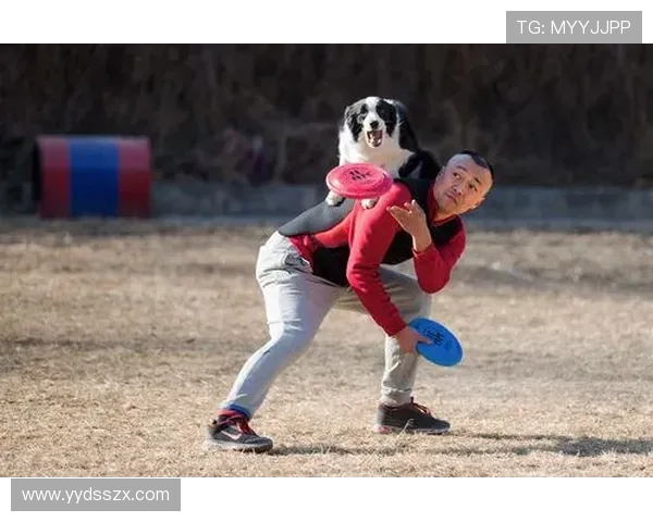 赛后分析：北京飞盘队与重庆飞盘队的耐力较量全景回顾